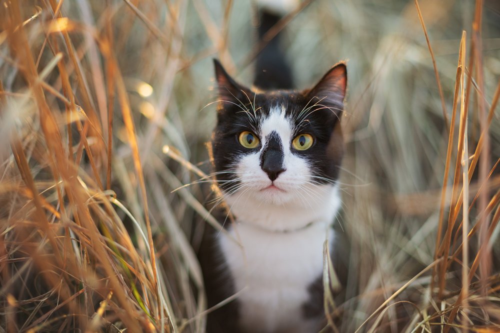 Photograph by Наталия Деркач