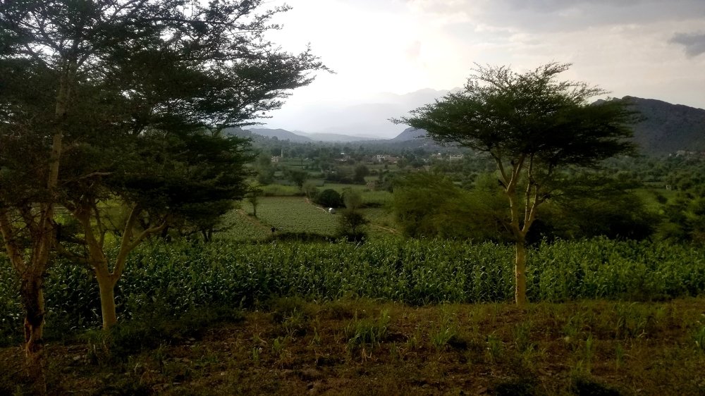 Photograph by Mohammed