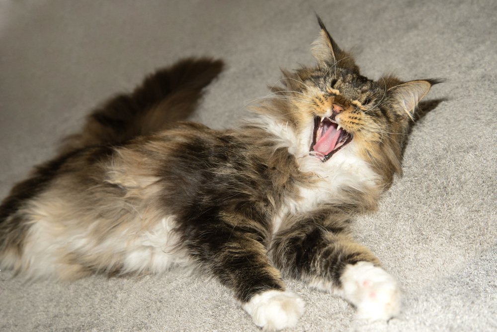 Photograph by Rimma Volchenko