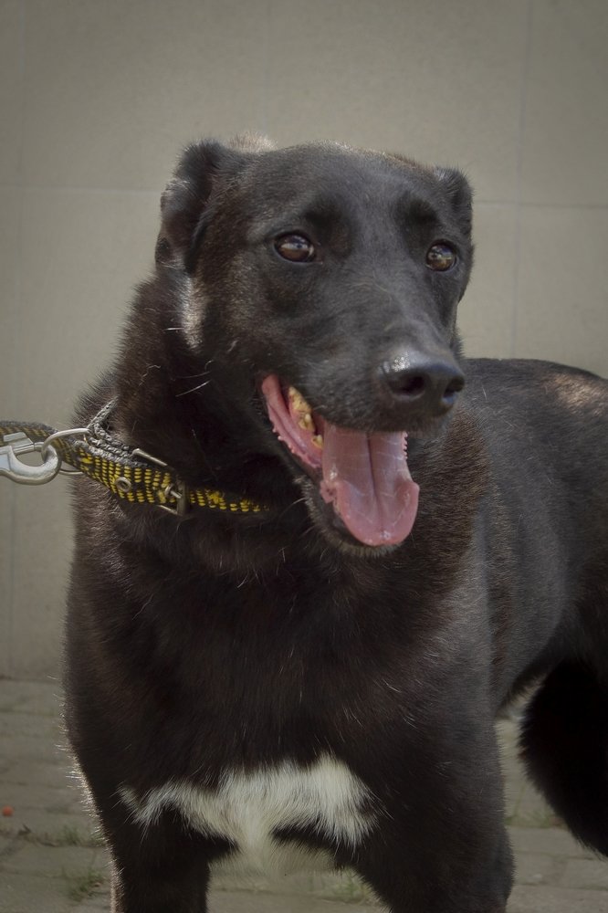 Ах, эти глаза напротив..!