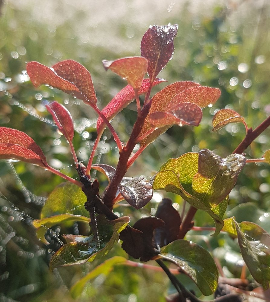 Photograph by Татьяна Козлова