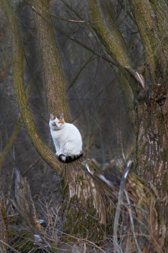 Photograph by Дмитрий Чудинин