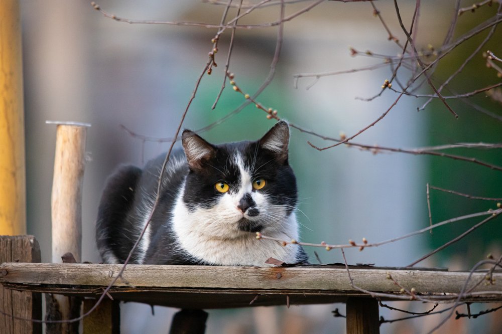 Photograph by Дмитрий Чудинин