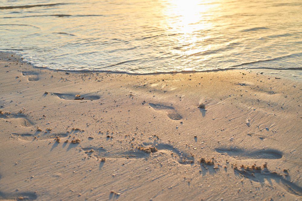 Photograph by Екатерина Абраменко