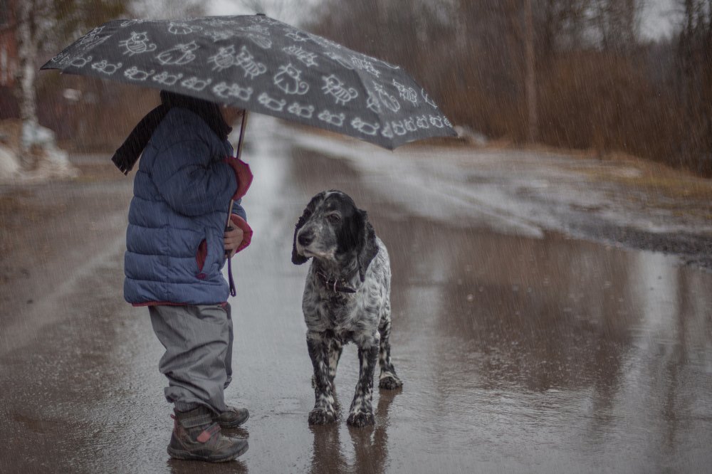 Photograph by Наталья Домбак