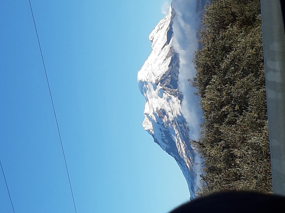 Photo #5011273