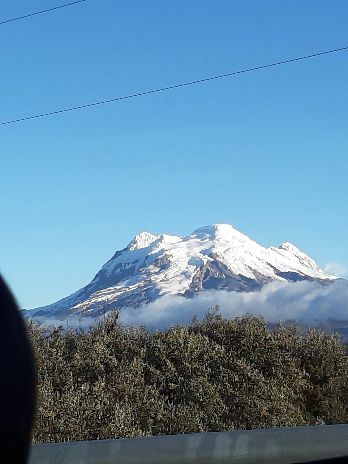Photo #5011273