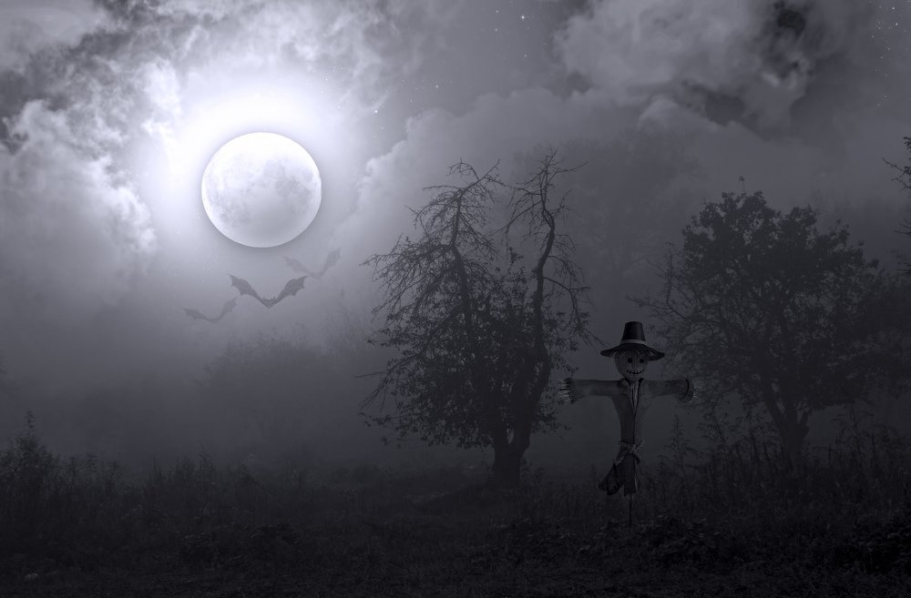 Photograph by Александр Белоус