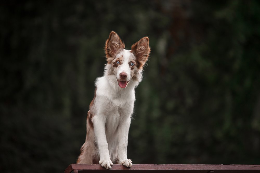 Photograph by Алина Савельева