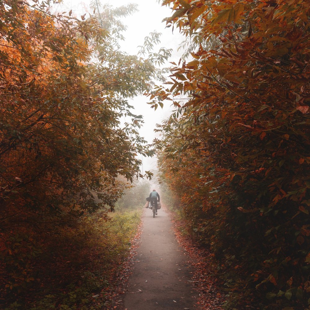 Photograph by Денис Хрычёв