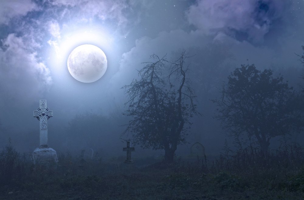 Photograph by Александр Белоус