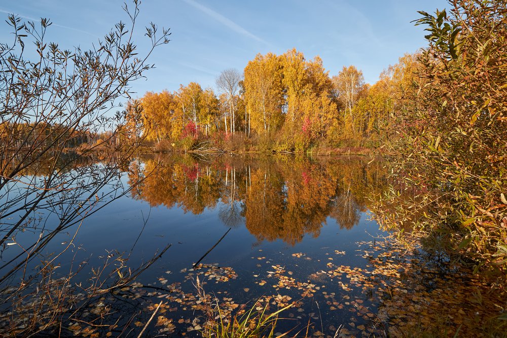 Краски осени.
