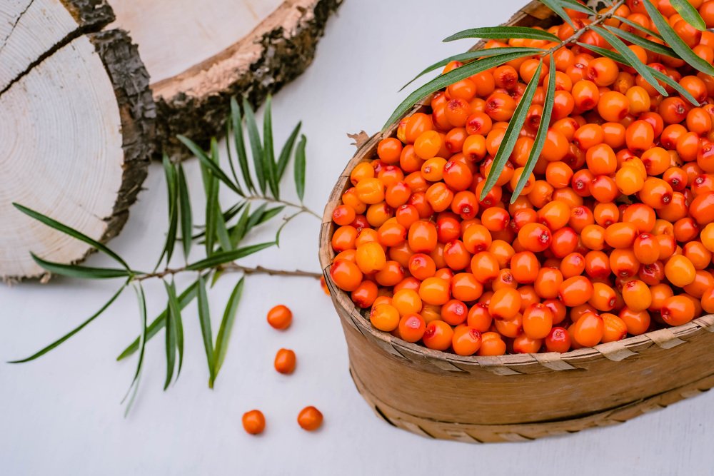 Photograph by Кадырова Анастасия