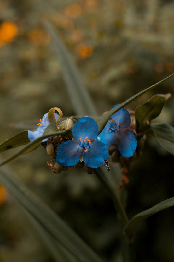 Photograph by Alexandra Yankovskaya