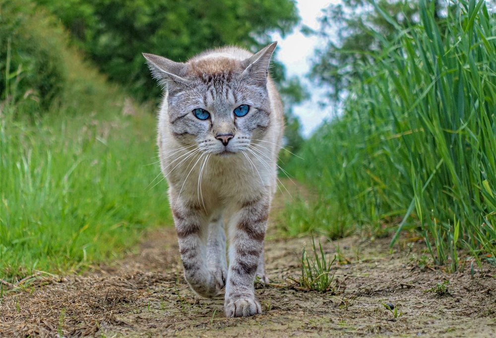 Photograph by LYUDMYLA POKRYSHEN