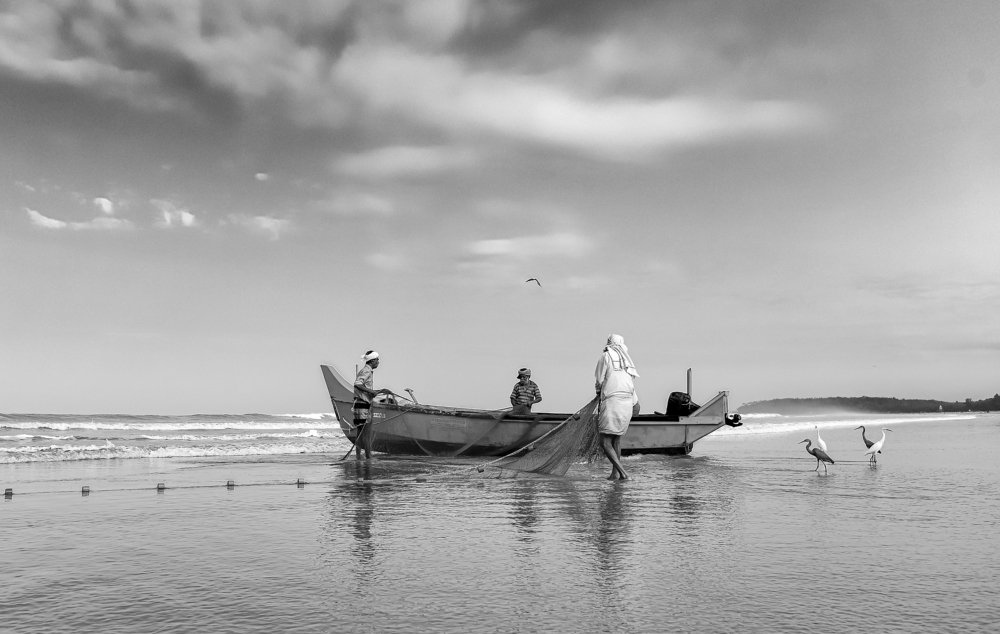 Photograph by Rishad