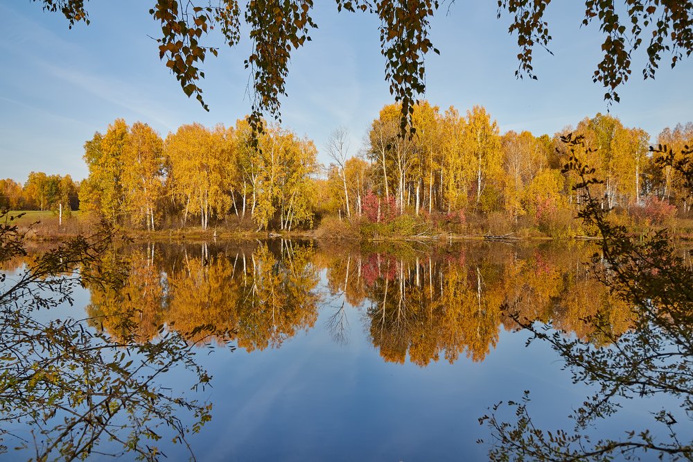 Лесное озеро.