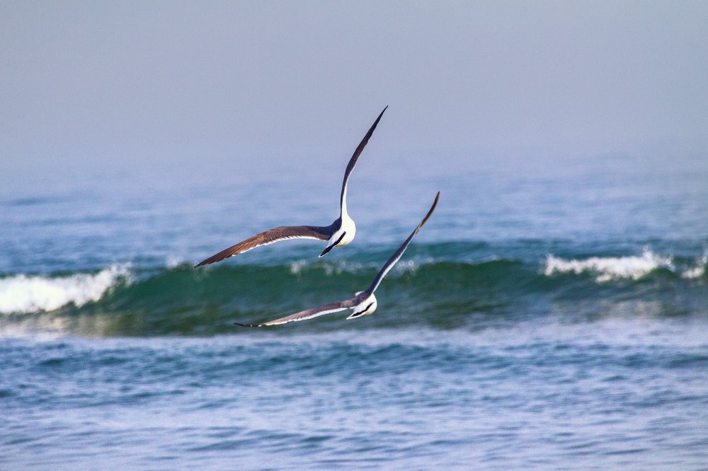 Photograph by Юлия Шумляева