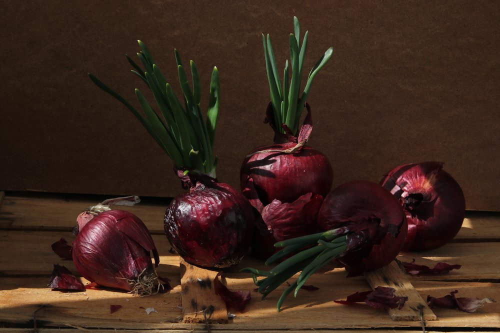 Весна. Новая жизнь.