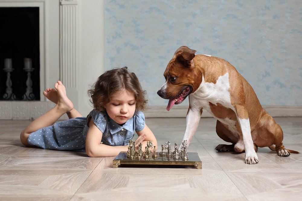 Photograph by Вика Иванова