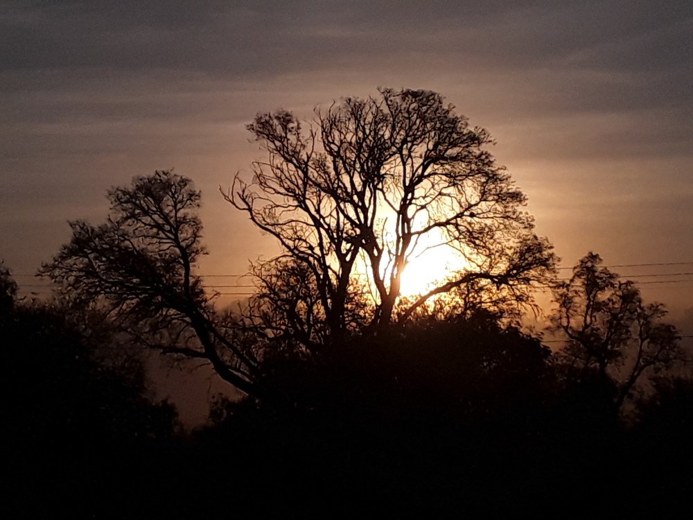 Photograph by Maria Mercedes Fuertes Flores