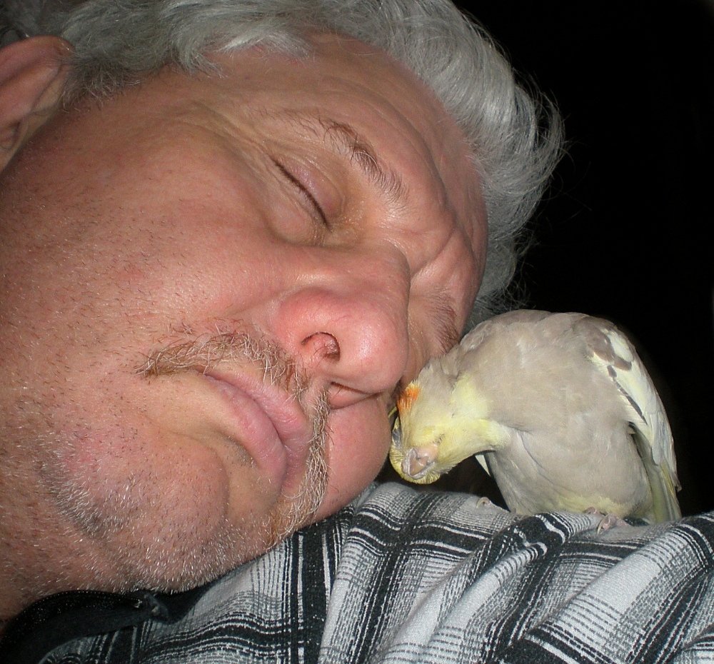 Фотография автора Роман Савоцкий