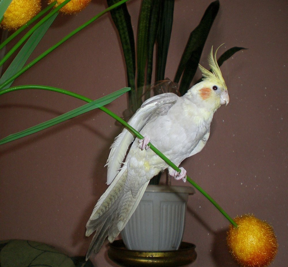 Фотография автора Роман Савоцкий