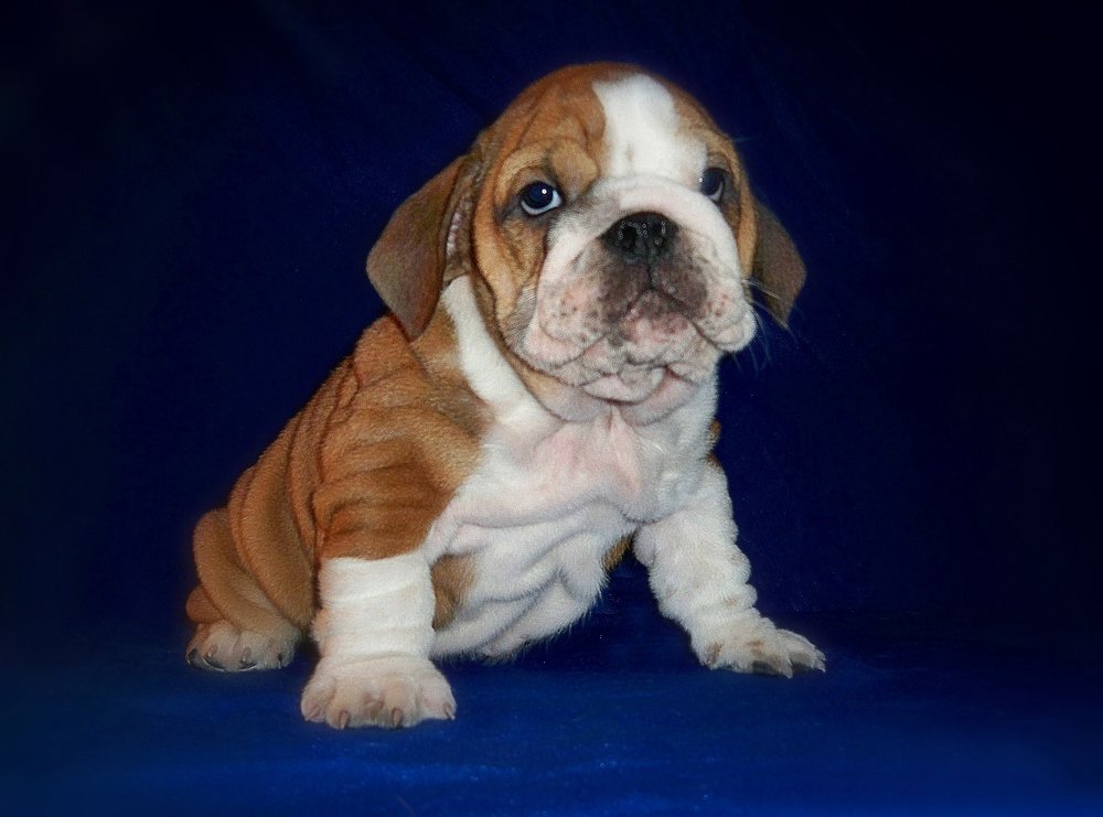 Photograph by Роман Савоцкий