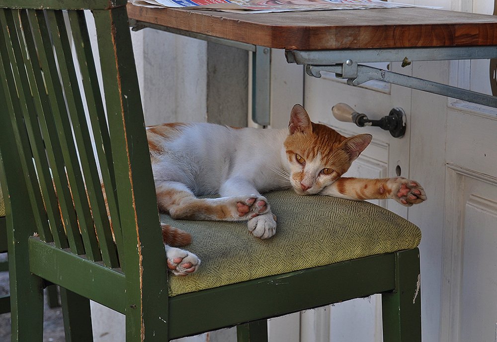 Photograph by Яков