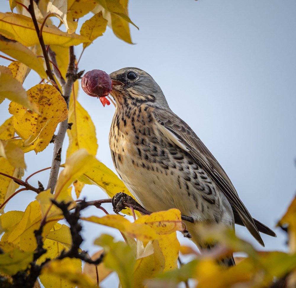 Photograph by Курлянцев Алексей