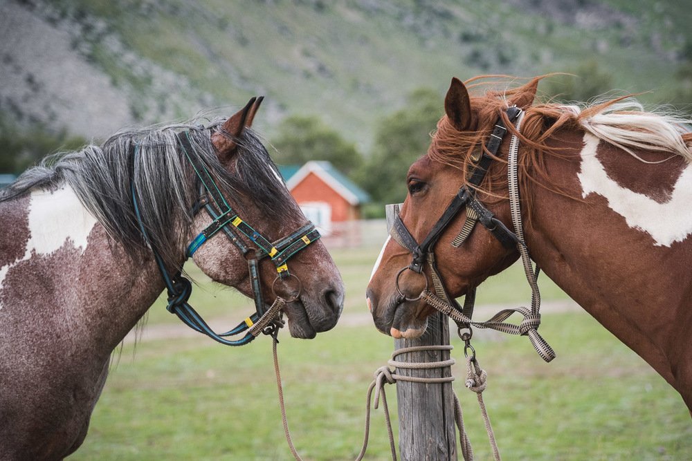 Photograph by Ирина Яук