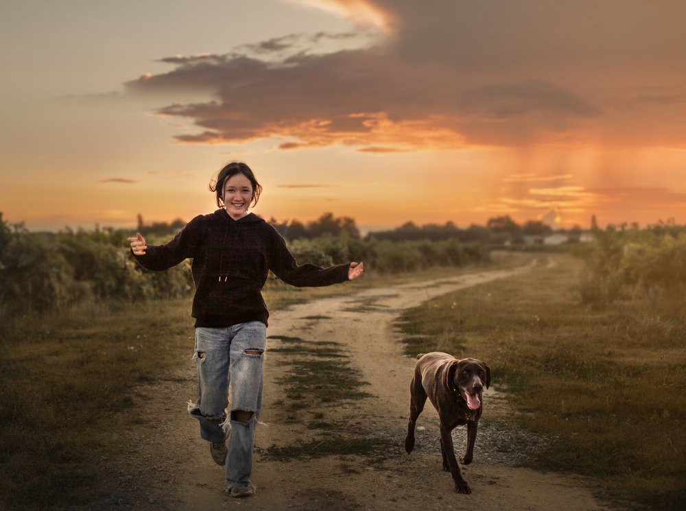 Evening walk in cognac vineyards