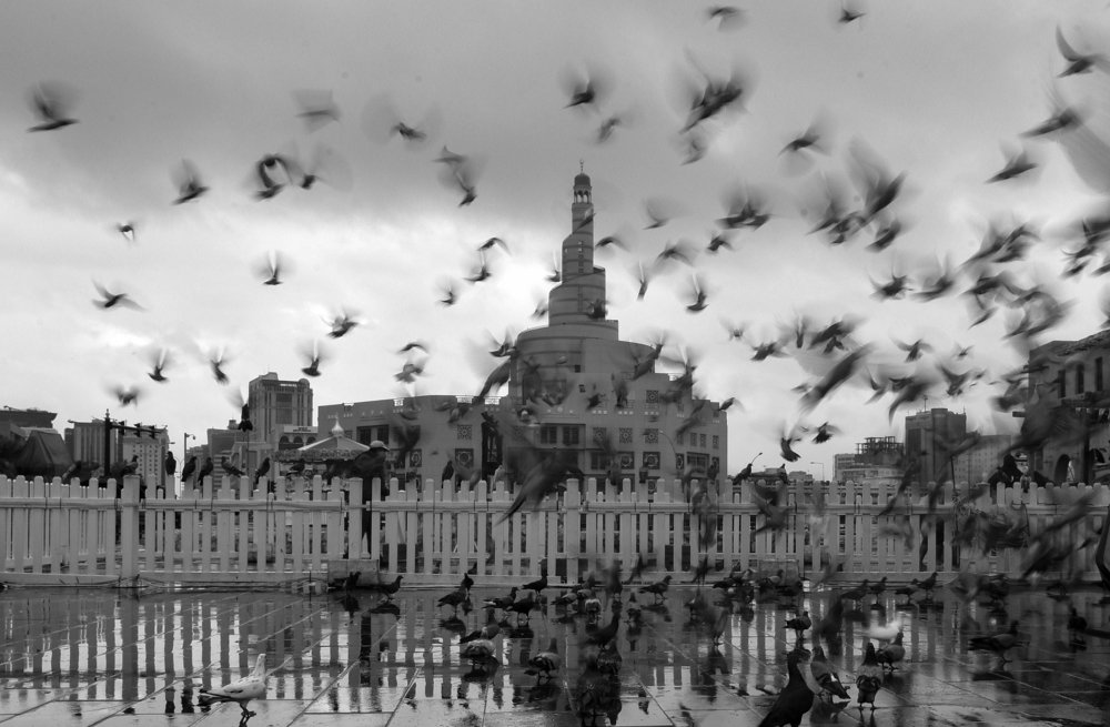 Photograph by Rishad