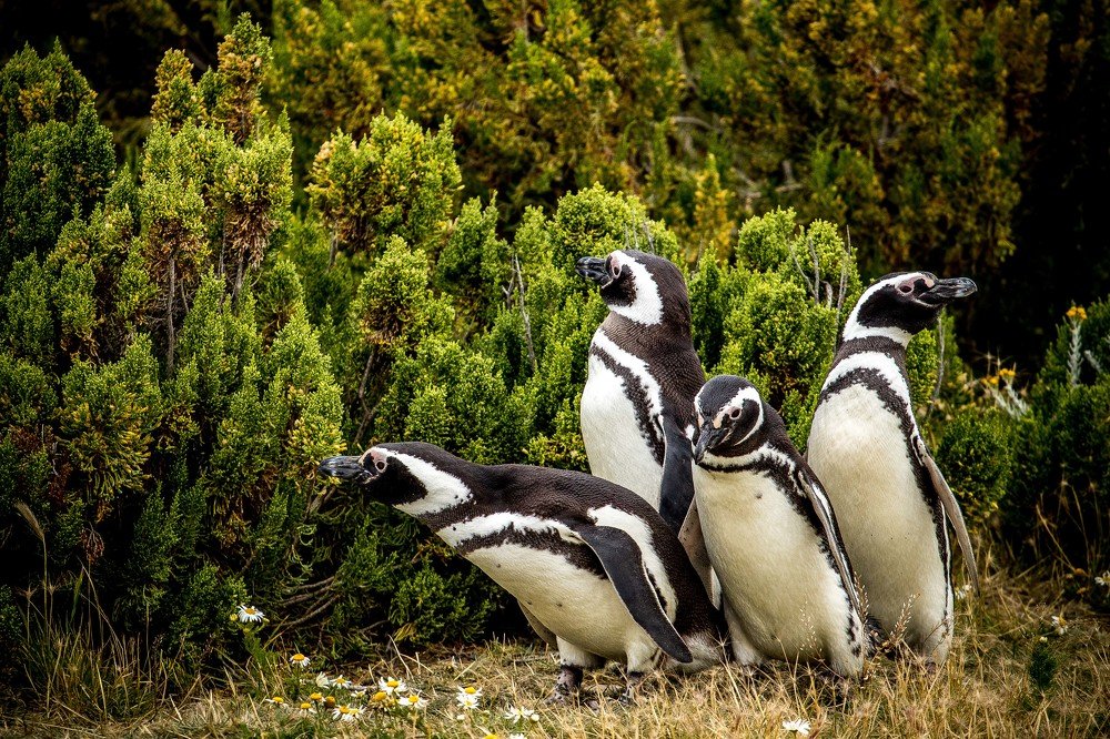 Photograph by Dmitry Skatov