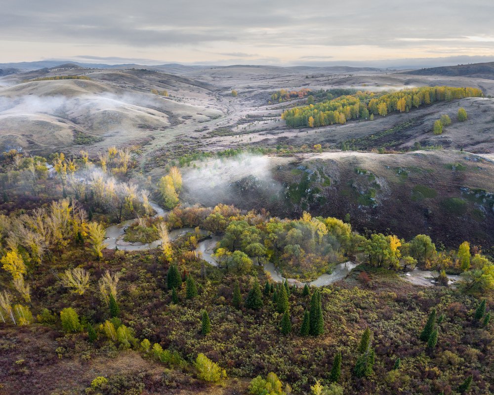 Скифские сокровища