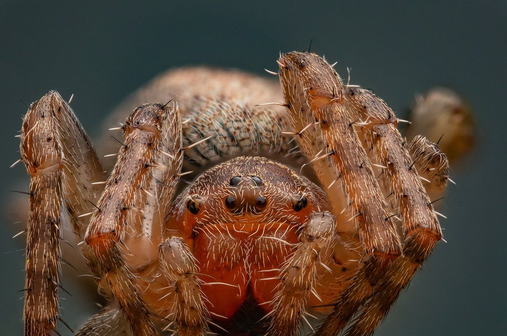 Photograph by Иван Радьков