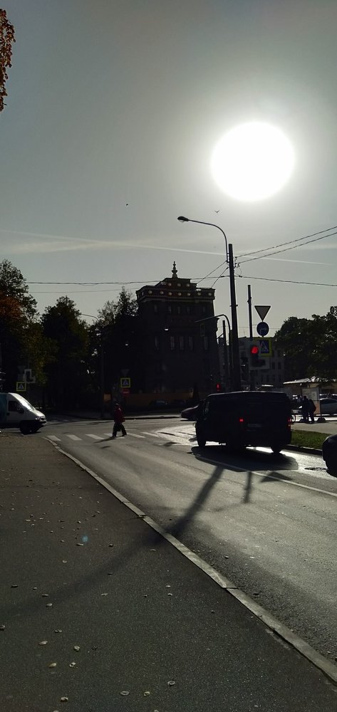 Photo #5011813