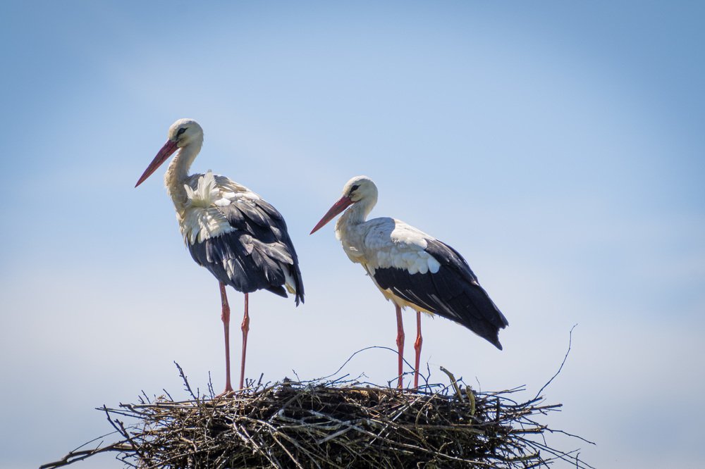 Photograph by Игорь Архипов