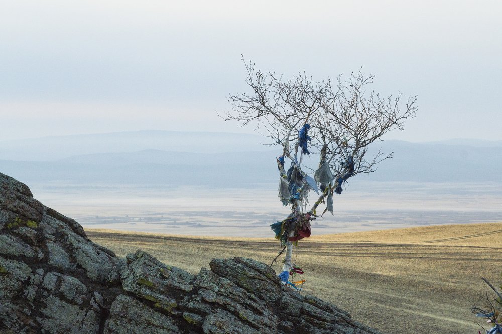 Фотография автора Светлана Барнадаева