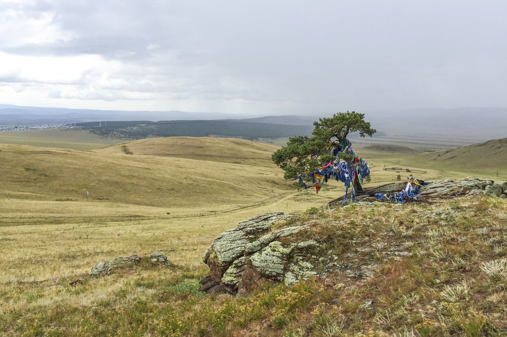 Фотография автора Светлана Барнадаева
