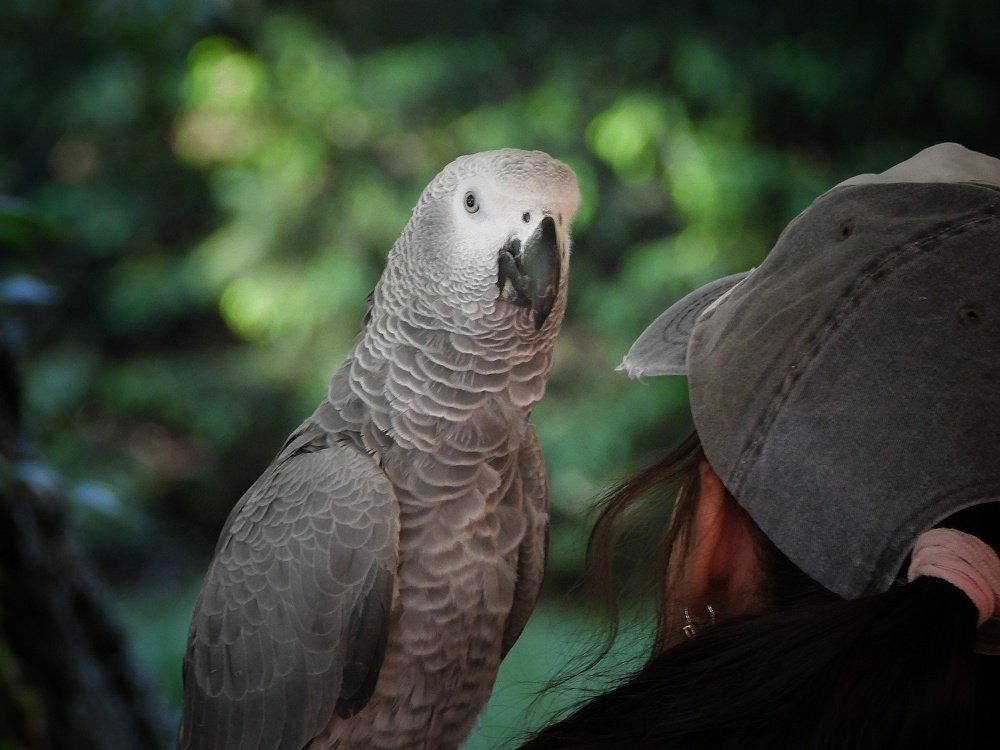 Photograph by Davorin Jurković