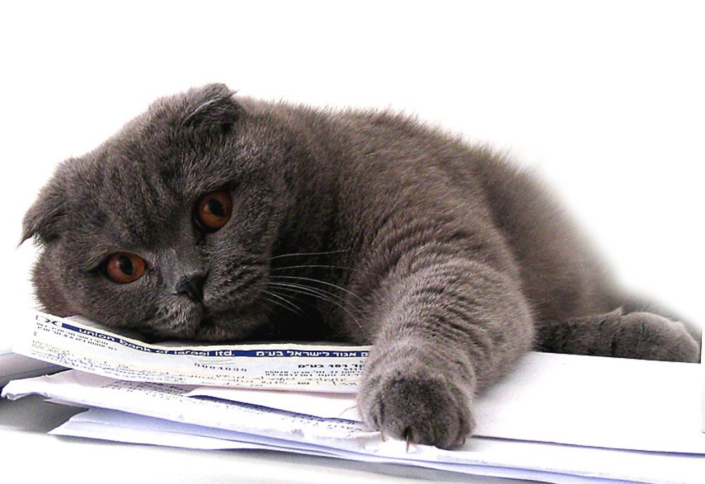 Photograph by Roman Beim