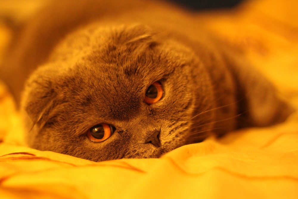 Photograph by Roman Beim