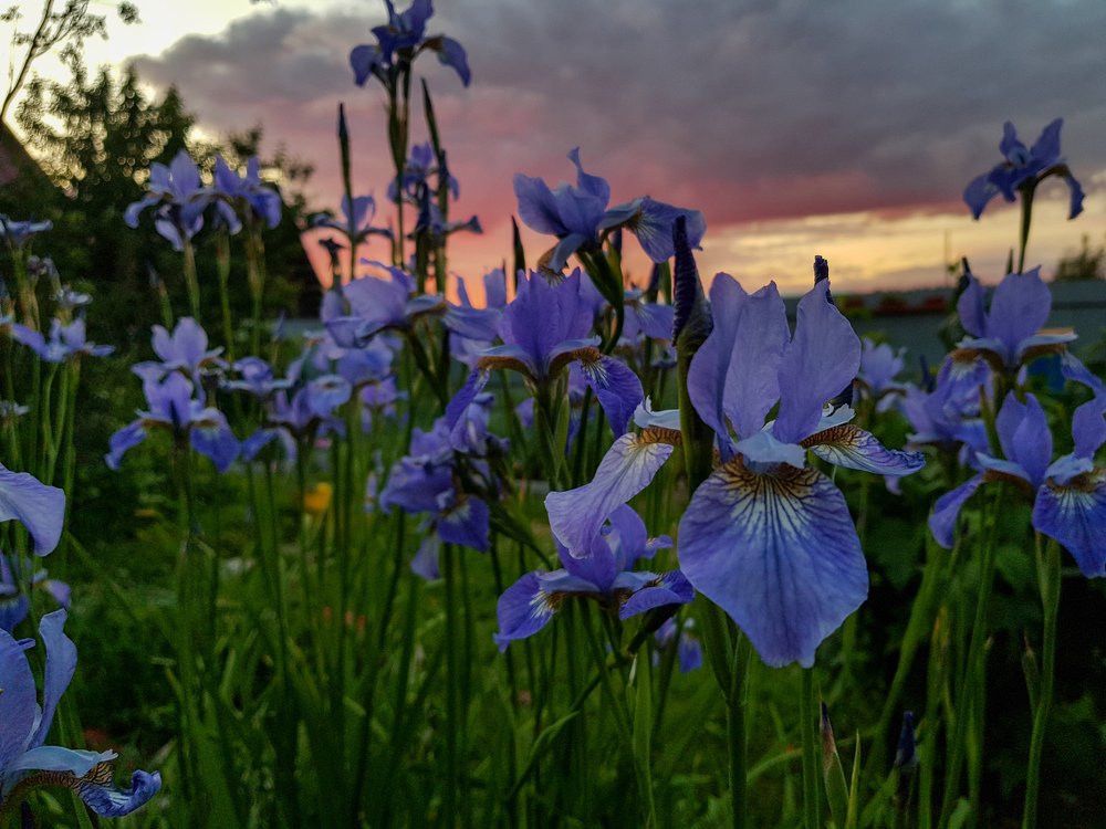 Photograph by Елена