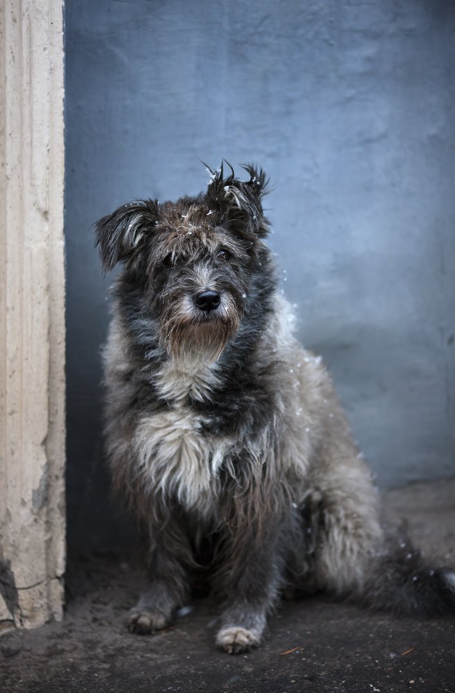 Photograph by Вера