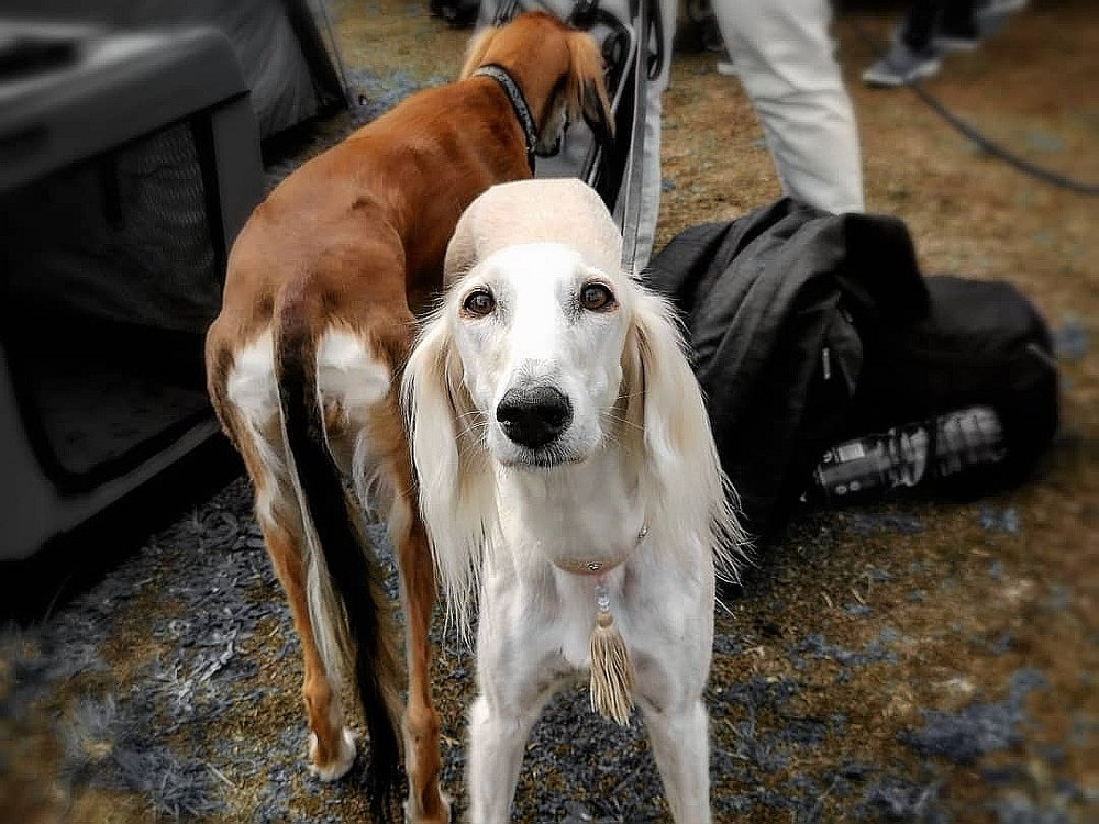 Фотография автора Павел Барский