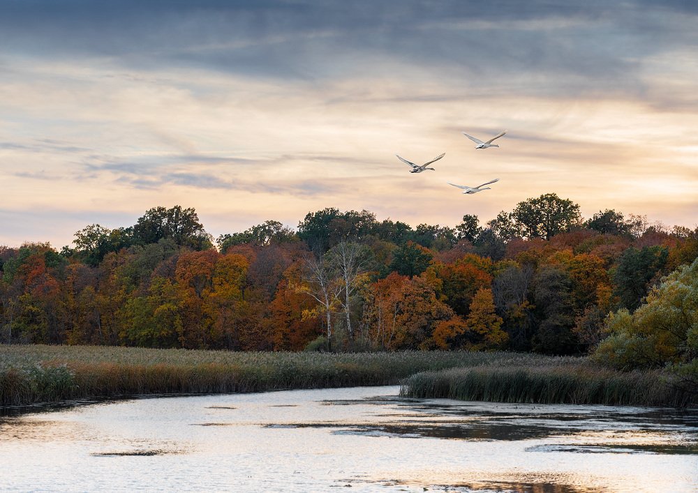 "Воронцовская осень"