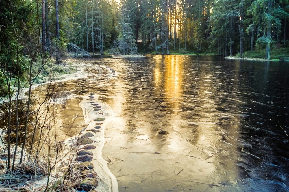 Фотография автора Юрий Цыркунов