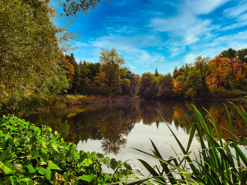 Photograph by Дмитрий Марков