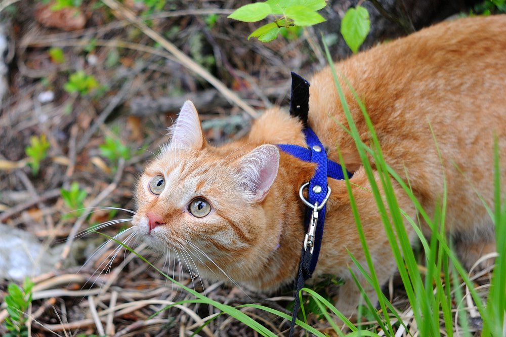 Photograph by Динара Зуйкова